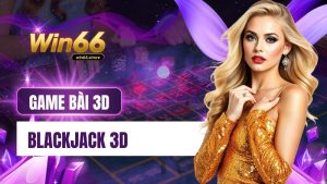 Blackjack 3D